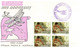 (HH 7) 50th Anniversary Of 1st Flight From Australia To Pacific Islands (Papua New Guinea Stamps) - Premiers Vols