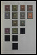 Delcampe - Liechtenstein: 1912-1967. Very Well Filled, MNH, Mint Hinged And Used, Partly Double Collection Liec - Verzamelingen