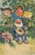 Fritz Baumgarten Zwerg Gnome Dwarf Plays Mandoline BIrds Singing Postcard - Baumgarten, F.