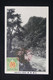 JAPON - Oblitération Commémorative Sur Carte Postale En 1916 - L 87410 - Lettres & Documents