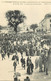 11 - CARCASSONNE - MANIFESTATION VITICOLE Du MIDI - 26 MAI 1907 - TRES BON ETAT - Strikes