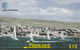 PHONE CARD FALKLAND ISLANDS (E69.25.7 - Falkland Islands