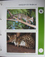 Delcampe - (33)  WWF Dieren En Walvissen - Collections (with Albums)