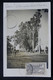 TOGO - Affranchissement De Lome Sur Carte Postale Photo En 1934  - L 87606 - Lettres & Documents