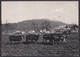 GERMANY  , Kronberg Im Taunus  ,  OLD  POSTCARD - Kronberg