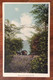 USA - LYONS SCENE NEAR   - VINTAGE POST CARD  1915 - Fall River