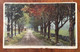 USA - PITTSFIELD A BEATIFUL DRIVE ALONG THE BOSTON & ALBANY NEAR     - VINTAGE POST CARD   1915 - Fall River