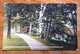 USA - COOPERSTOWN  VIALE NEL BOSCO   - VINTAGE POST CARD   1911 - Fall River