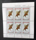 NOUVELLE ZELANDE - Faune, Oiseaux - 1965 - MNH - Sonstige & Ohne Zuordnung