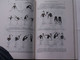LIVRE  -  MANUEL  DE  GYMNASTIQUE  VOLONTAIRE--  208 Pages - Gymnastics