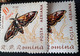 Errors Romania 1960 Mi 1918 Offset Butterfly Printing,  Moth ,butterfly - Errors, Freaks & Oddities (EFO)