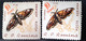 Errors Romania 1960 Mi 1918 Offset Butterfly Printing,  Moth ,butterfly - Errors, Freaks & Oddities (EFO)