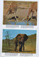 Zuid Afrika Een 6-prent Briefkaart Per Luchtpost Naar West Duitsland (632) - Autres & Non Classés
