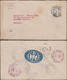 Mexique 1920 Et 1936. Deux Lettres Recommandées Avec Vignettes Postales Bleue Et Rouges. Cactus, Serpent, Aigle - Aerogramme