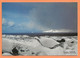 CARTE POSTALE TAAF - GRAIN De NEIGE KERGUELEN - PHOTO FATRAS - TAAF : Terres Australes Antarctiques Françaises