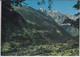 FIESCH, Wallis, Goms - Panorama M. Wannenhorn, Finsteraarhorn - Goms