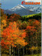 5606 - USA - Colorado , Rocky Mountain - Gelaufen 1996 - Rocky Mountains