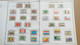 Delcampe - Lot N° TH 311  NATIONS-UNIS Collection Dans Un Album Neufs Xx / X Et Qq Sans Gomme Mais Grande Majorités Neufs Xx - Sammlungen (im Alben)