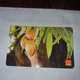 Dominicana-(orange-28rd$100)-(1781-8386-3196-85)-three Mango-(33)-(31.12.2009)-used Card+1card Prepiad Free - Dominicana