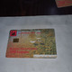 Albania-art-(100impulse)-(5)-(1001-001082)-tirage-100.000-used Card+1card Prepiad Free - Albanien