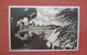 RPPC View From Paget  Bermuda    Ref 4677 - Bermuda