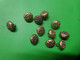 Lot De 11 Boutons Ajoures Ancien - Coloris Dore- - Knopen