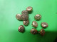 Lot De 11 Boutons Ajoures Ancien - Coloris Dore- - Knopen