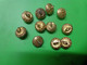 Lot De 11 Boutons Ajoures Ancien - Coloris Dore- - Knopen