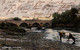 HALKIRK BRIDGE / 1908 / RARE - Caithness