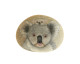 Original Painting Of A Koala Bear And Baby On A Smooth Beach Stone Paperweight - Presse-papiers