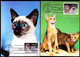 U.S.A. (1988) Various Cats. Set Of 4 Maximum Cards With Thematic Cancel. Scott Nos 2372-5, Yvert Nos 1800-3. - Maximumkaarten