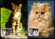 U.S.A. (1988) Various Cats. Set Of 4 Maximum Cards With Thematic Cancel. Scott Nos 2372-5, Yvert Nos 1800-3. - Maximumkaarten