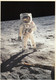 Lot De 2 Cartes. Bruce Mac Candless. Apollo 11. Apollo 15 - Astronomie