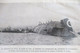 LE CUIRASSE D ESCADRE LEONARDO DA VINCI COULE DANS LE PORT DE TARENTE ITALIE EN 1916 - Bateaux