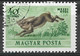 Hungary 1953. Scott #C113 (U) Fauna, Hare - Gebraucht