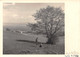 Carte-Photo Région Neuchâtel Boudry à Identifier   (10 X 15 Cm) - Boudry