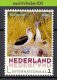 FG175 2 Scans PERSOONLIJKE POSTZEGEL PERSONAL STAMP VOGELS RED- AND BLUE-FOOTED BOOBY BIRD AVES OISEAUX NEDERLAND PF/MNH - Marine Web-footed Birds