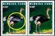 ENDANGERED BIRDS- COMMON OSTRICH-HORIZONTAL PAIR- BURKINA FASO-1998-SCARCE-MNH- H-578B - Ostriches
