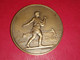 MEDAILLE BRONZE 51 Gr. COMICE AGRICOLE DE VESOUL VILLERS LE SEC Graveur LAGRANGE 45mm - Firma's