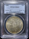 STATI UNITI 1886  1$  MORGAN SILVER  DOLLAR COIN 1 OZ. 1 ONCIA PCGS MS63  S.52 COIN 32 - 1878-1921: Morgan