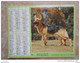 RARE Calendrier Almanach  Des PTT 1985 Berger Allemand Et Verso Chevaux (intérieur Blanc : Sans Rien , Voir Photos) - Grand Format : 1981-90