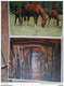 RARE 4 Photos Intérieur Et Exterieur :calendrier  Almanach  1987 - Fillette/ Chèvre; Garçon /mouton ;sous Bois ;chevaux - Grand Format : 1981-90