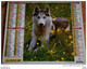 Almanach -la Poste- 1998 - BERGERS ALLEMANDS Verso HUSKY  -a L'intérieur Calendrier Foot France 98  (voir Photos) - Grand Format : 1991-00