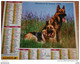 Almanach -la Poste- 1998 - BERGERS ALLEMANDS Verso HUSKY  -a L'intérieur Calendrier Foot France 98  (voir Photos) - Grand Format : 1991-00