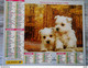 Calendrier Almanach -la Poste- Oberthur 1998 Recto CHIOTwest Highland Terriers  Verso CANICHE - Grand Format : 1991-00