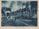Pour L'Enseignement Vivant (24x18cm) - Les Colonies Francaises - Iles Wallis - Un Village - Wallis En Futuna