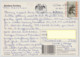 Australia NORTHERN TERRITORY NT Crocodile Eating VB Beer Truck Humorous ASC 192 Postcard Posted 1997 To TASMANIA - Non Classés