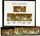 Ref 1474  - 1970 Australia - Captain Cook Presentation Pack - Stamps & Sheet MNH - Neufs