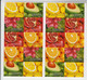 ISRAEL 2009 FRUITS GRAPES ORANGE LEMON AVOCADO POMEGRANATE BOOKLET WITH 5 SIGNS OF MENORAH ON THE BACK - Booklets