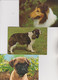 Lot 100 CPM De Chiens - - 100 - 499 Karten